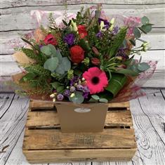 Hot Pink &amp; Purple 