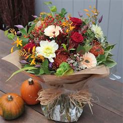 Autumn Splendor