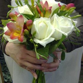 fwthumb11092010397.jpg